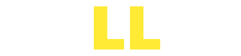 55LLcom oficial Logo